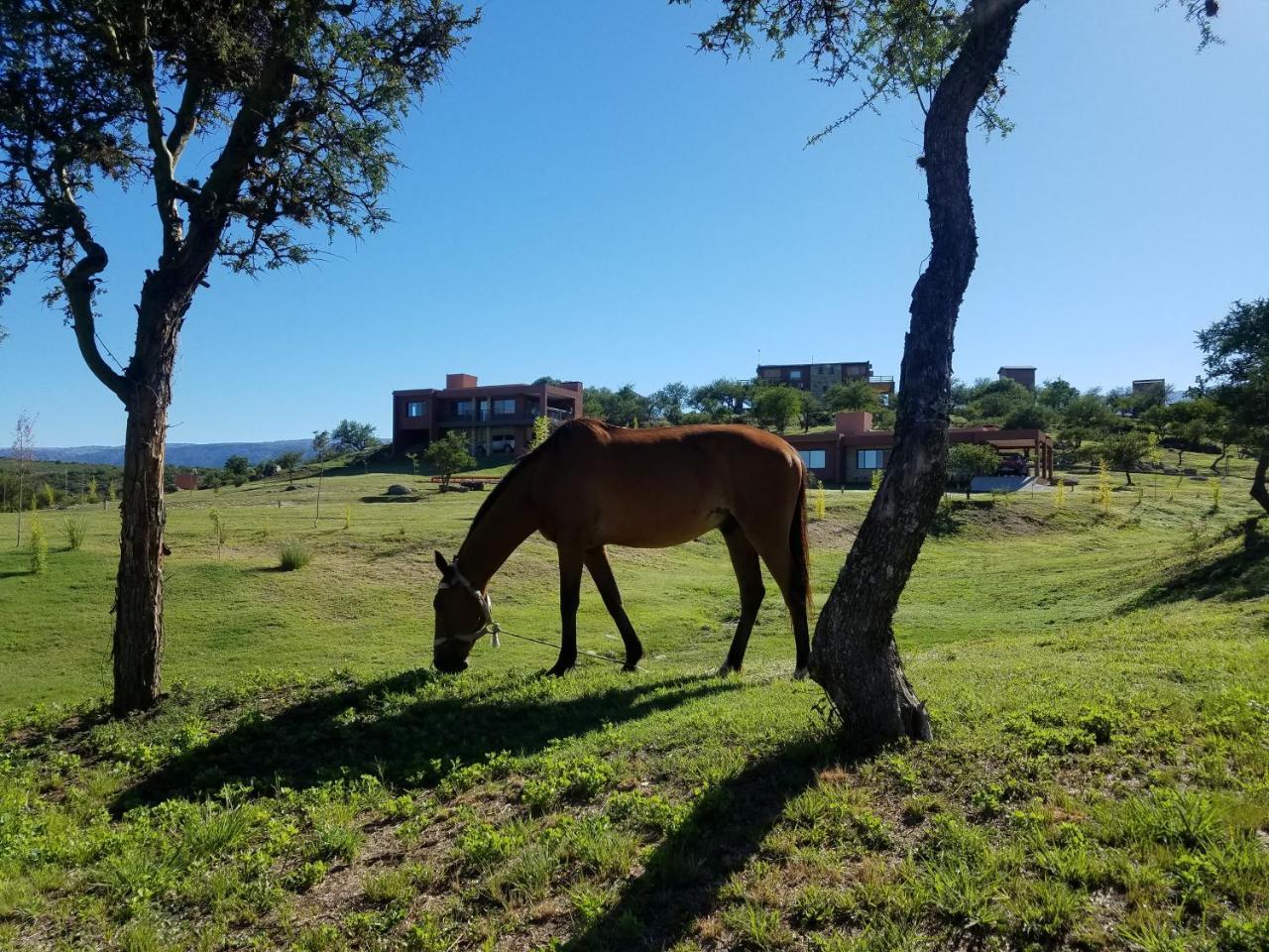 La Toscana Casas Y Suites Nono Exterior photo